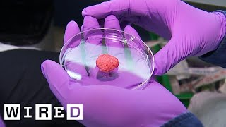 Inside the Quest to Make Lab Grown Meat  WIRED [upl. by Malim625]