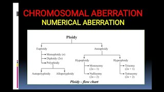 Chromosomal Aberration Numerical aberration including polyploidy [upl. by Ecnerrat]