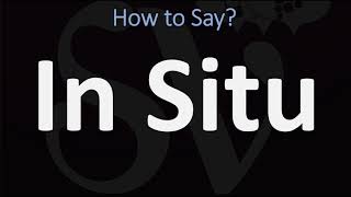 How to Pronounce In Situ CORRECTLY [upl. by Las]