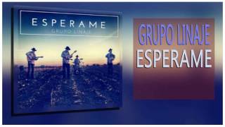 Grupo Linaje Esperame album completo [upl. by Naillik947]