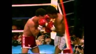 Wilfredo Gomez vs Lupe Pintor  Highlights of the fight [upl. by Ynohtona605]