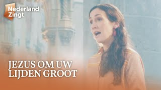 Jezus om uw lijden groot  Nederland Zingt [upl. by Gabie]