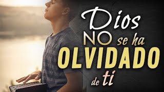 Dios no se ha olvidado de ti  Reflexiones cristianas [upl. by Ynaffyt]