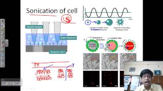 Sonication process [upl. by Cochran385]