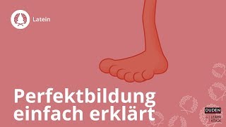 Perfektbildung einfach erklärt – Latein  Duden Learnattack [upl. by Nosnehpets]