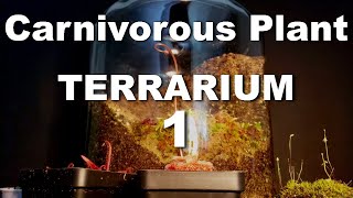 Growing Carnivorous Plants E1 Building a Terrarium [upl. by Connell]