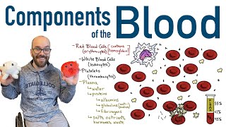 Components of Blood [upl. by Kaja]