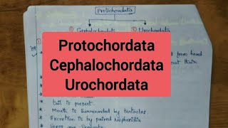 ProtochordataCephalochordata Urochordata [upl. by Juetta]