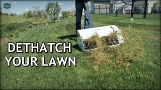 How To DETHATCH And FIX Your LAWN [upl. by Kurth172]