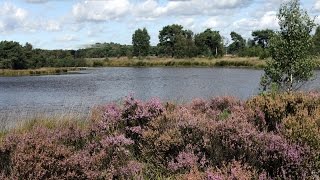 De toeristische troeven van Kalmthout in vogelvlucht [upl. by Josler22]