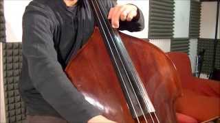 Canon in D  Double Bass [upl. by Eilarol]