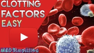 Blood Clotting Process Explained [upl. by Assital442]