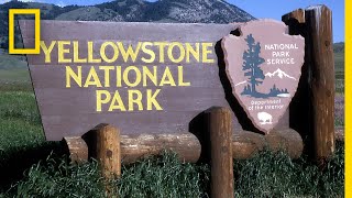 A Brief History of Yellowstone National Park  National Geographic [upl. by Eninnaej280]