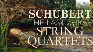 Schubert The Last Three String Quartets [upl. by Doraj]