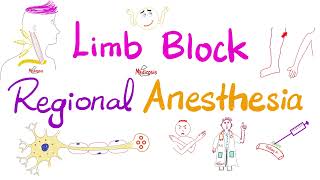 Limb Block  Peripheral Nerve Block  Regional anesthesia [upl. by Sandro]