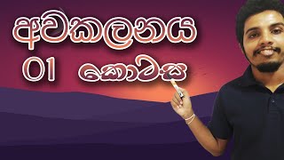 Differentiation  Part 01  Combined Maths AL in Sinhala  Janidu Rashmika [upl. by Hadik]