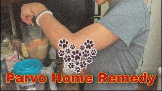 Treating Parvo in Dogs  Parvovirus All Natural Home Remedy  Lana Yazmeen [upl. by Ait690]