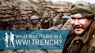 24 Hrs In The Trenches WW1 Documentary [upl. by Ellenyl]