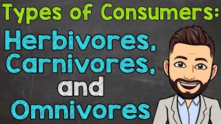 Types of Consumers  Herbivores Carnivores and Omnivores [upl. by Stu]