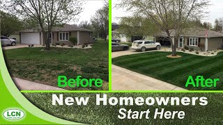 Howto Fix Your Ugly Lawn With This Single Lawn Application [upl. by Barvick52]