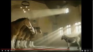 Budweiser Commercial  Magic Beer [upl. by Yennor170]