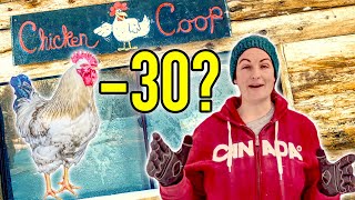 Unheated Predator Proof Extreme Cold Coop [upl. by Darwin]