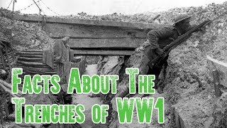 Trench Warfare Facts  The Trenches of WW1 [upl. by Aneerbas]