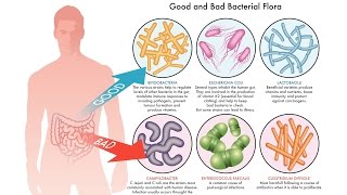 Alleviating Anxiety and Depression with Probiotics depression anxiety probiotic [upl. by Enylekcaj850]