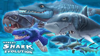 ALL SHARKS GAMEPLAY MONTAGE Hungry Shark Evolution  HD [upl. by Neelon]