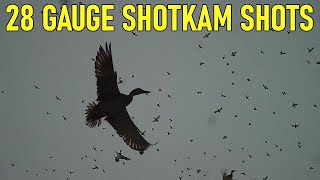 28 GAUGE Duck Hunting  64 Kills  with a SHOTKAM [upl. by Aicilla]