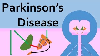 Parkinsons Disease and the Basal Ganglia [upl. by Grath417]