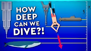 What Is The DEEPEST A Human Can DIVE Debunked [upl. by Hewie]