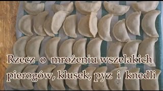 Jak mrozić pierogi kluski pyzy i knedle [upl. by Trahurn743]