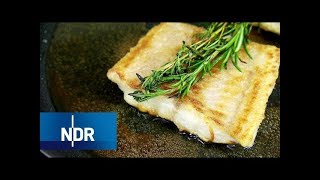 Fischzucht Fisch aus Niedersachsen 2019HD  Deine Doku [upl. by Imoan]