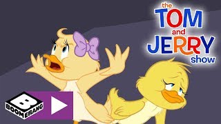 The Tom and Jerry Show  Duckling Love Story  Boomerang UK [upl. by Qulllon]