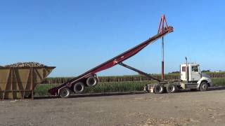 Australia sugar cane harvest [upl. by Enovad]