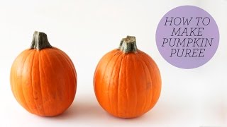 How to Make Pumpkin Puree  Fresh vs Canned [upl. by Finzer]