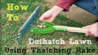 How to Dethatch Lawn Using a Thatching Rake [upl. by Corena481]