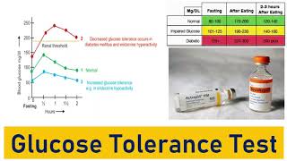 Glucose Tolerance Test OGTT IGTT Glucose Tolerance Curve Typical Values and the Impact [upl. by Zosi273]