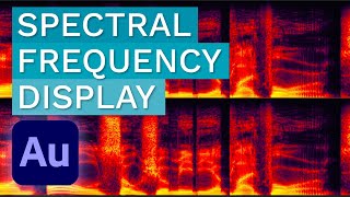 When and How to Use Spectral Frequency Display  Adobe Audition Tutorial [upl. by Sothena]