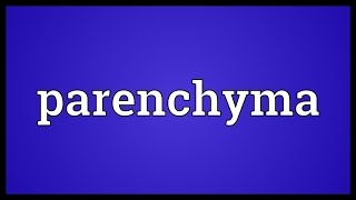 Parenchyma Meaning [upl. by Eerrehc482]