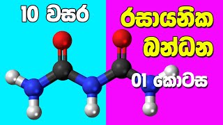 Grade 10 Science in Sinhala Medium  Unit 10 Part 1  10 විද්‍යාව 10 පාඩම  රසායනික බන්ධන [upl. by Tunk881]