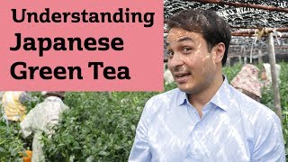 Understanding Japanese Green Tea JAPAN TRIP [upl. by Whiteley]