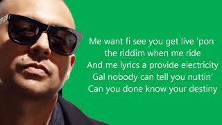 Sean Paul  Get Busy Lyrics [upl. by Hajan]