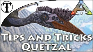 Fast Quetzal Taming Guide  Ark  Survival Evolved Tips and Tricks [upl. by Anniken]