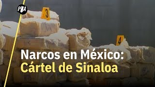 Cártel de Sinaloa ¿cuál es el origen y peso de este cártel [upl. by Ellehcil176]