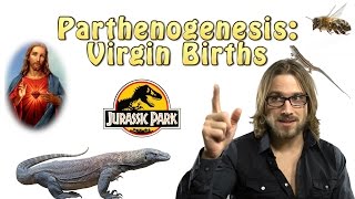 Parthenogenesis Virgin Births [upl. by Atteoj]