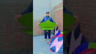 Kite Flying Moments Basant Festival Punjab India Pakistan [upl. by Rimidalg343]