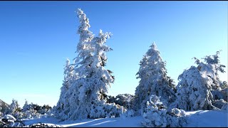 Karpacz Poland Searching for Snow [upl. by Meingoldas]