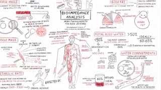 Bio Impedance Analysis Explained  Men [upl. by Callan]